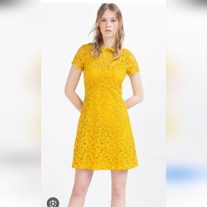 Zara Yellow Lace Mini Dress